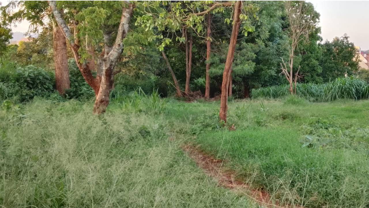 PRIME LAND FOR SALE IN RUAKA!