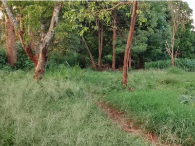 PRIME LAND FOR SALE IN RUAKA!